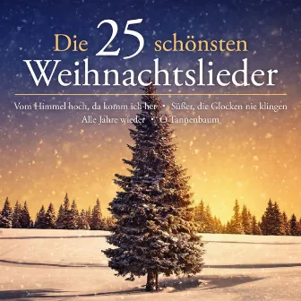 Die 25 schönsten Weihnachtslieder (Vom Himmel hoch, da komm' ich her - Süßer die Glocken nie klingen - Alle Jahre wieder - O Tannenbaum) by Peter Schreier