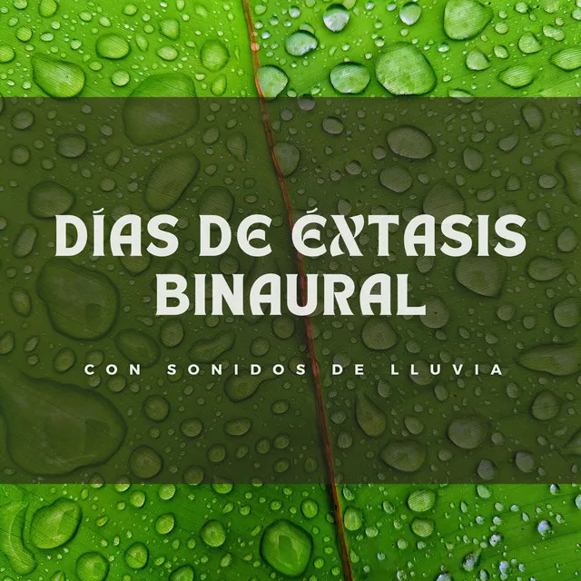 Días De Éxtasis Binaural Con Sonidos De Lluvia