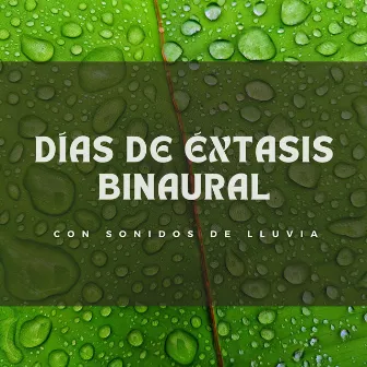 Días De Éxtasis Binaural Con Sonidos De Lluvia by Sonidos de lluvia ASMR