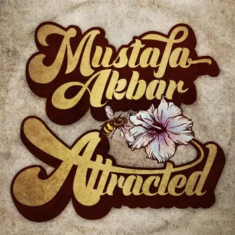 Attracted by Mustafa Akbar