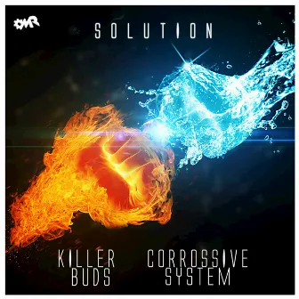 Solution by CORROSIVE SYSTEM