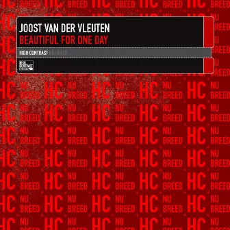 Beautiful For One Day by Joost Van Der Vleuten