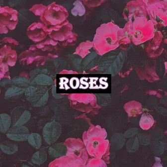 Roses by TPXZzz