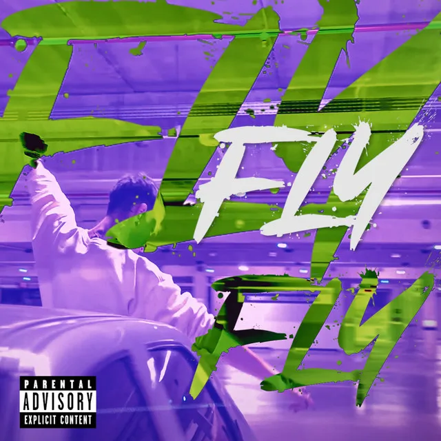 Fly