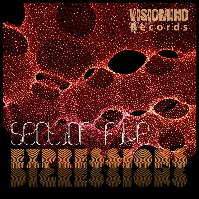 Digressions - Original Mix