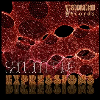 Expressions / Digressions EP by Section Five