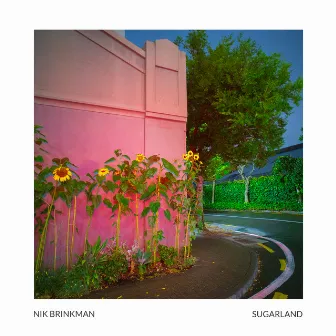 Sugarland by Unknown Artist