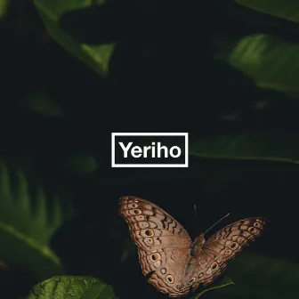 Garden Beats by Yeriho