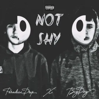 Not Shy by Paradise Drip