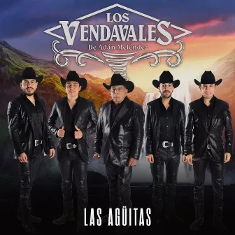 Las Agüitas by Los Vendavales de Adan Melendez