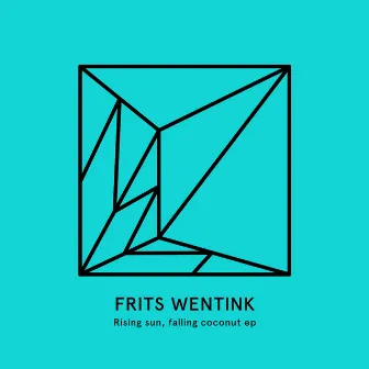 Rising Sun, Falling Coconut by Frits Wentink