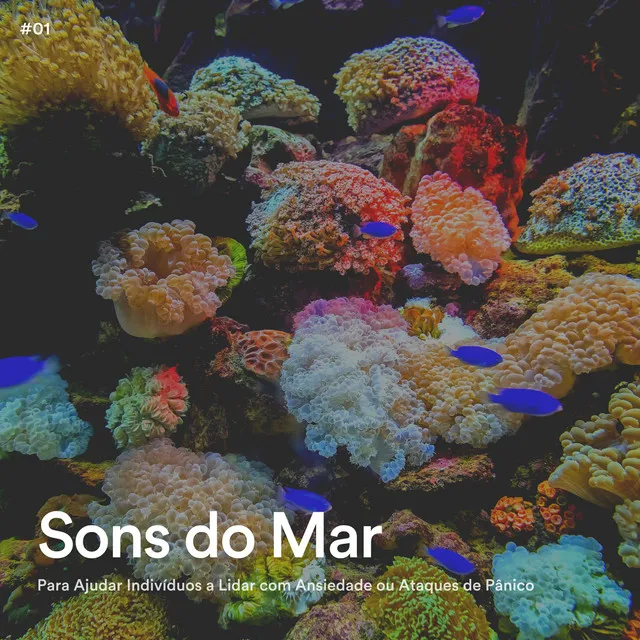 Sons do Mar Para Ajudar Indivíduos a Lidar com Ansiedade ou Ataques de Pânico, Pt. 2