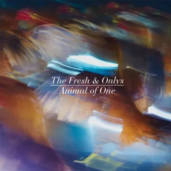 Animal of One / How High Was I by The Fresh & Onlys