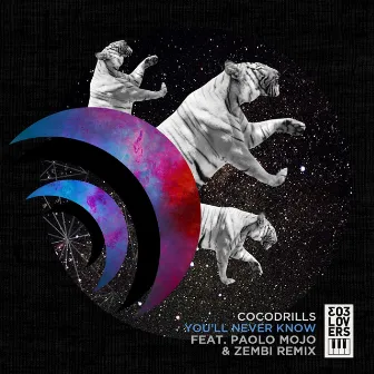 You'll Never Know by Cocodrills