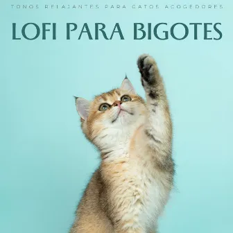 Lofi Para Bigotes: Tonos Relajantes Para Gatos Acogedores by Relájate Hip Hop