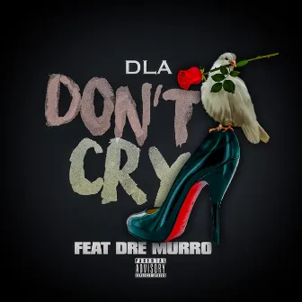 Don't Cry by DLA