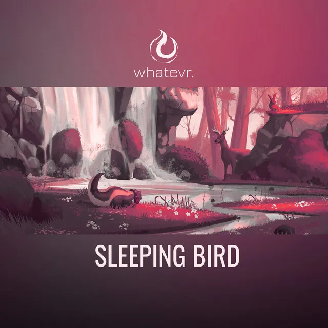 sleeping bird