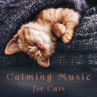 Calming Music for Cats: Soothing and Gentle Sounds for Relaxation by Relaxing Night Music Academy