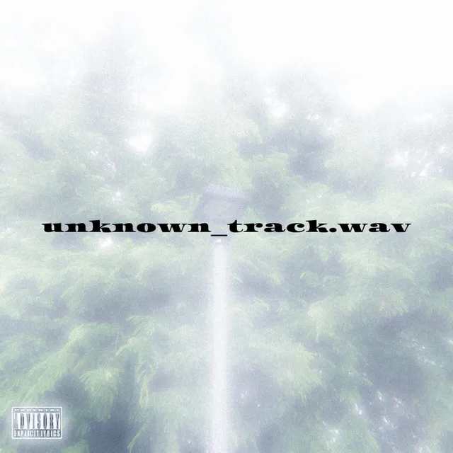 unknown_track.wav