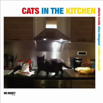 Cats in the kitchen by Alberto Braida