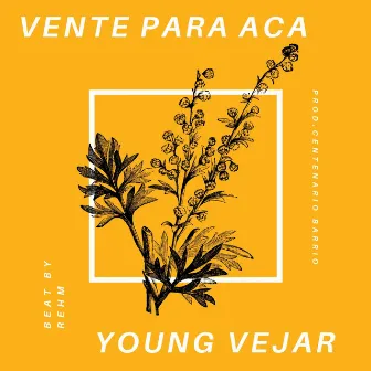 Vente para Acá by Young Vejar