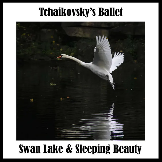 Swan Lake, Op. 20: No. 13, Danse des cygnes: II. Moderato assai