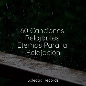 60 Canciones Relajantes Eternas Para la Relajación by Musica Relajante Specialistas & Musica Relajante