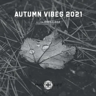 Autumn Vibes 2021 (DJ Mix) by Unknown Artist