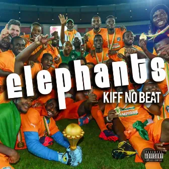 Elephants by Kiff No Beat