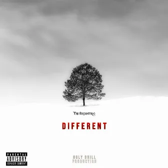 Different by The Excentric