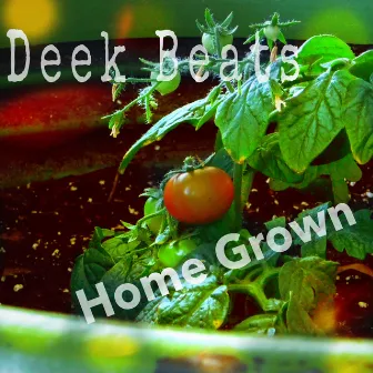 Home Grown by Deek Beats