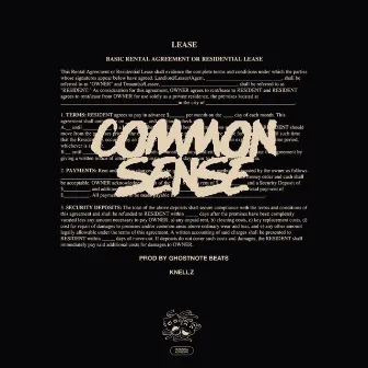 Common Sense by Knellz