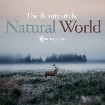 The Beauty of the Natural World by David Turtle Ramani