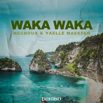 Waka Waka (This Time for Africa) by Yaelle Maessen