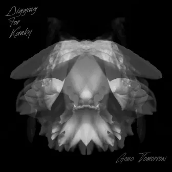 Gone Tomorrow by Digging for Kanky