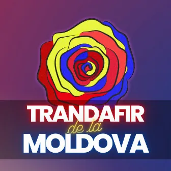 Trandafir De La Moldova by Zentone