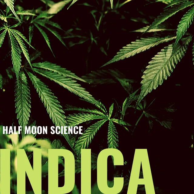 Indica (Instrumental)