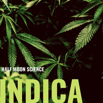 Indica (Instrumental) by Half Moon Science