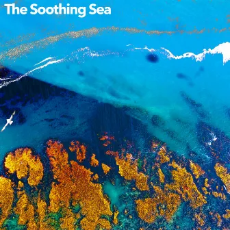 The Soothing Sea by Field Recordings