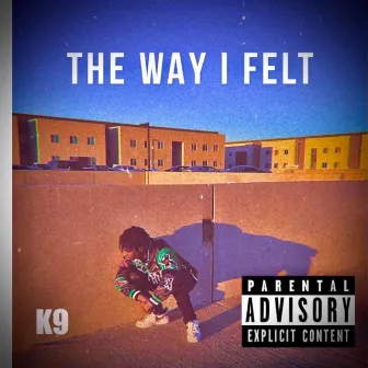 The Way I Felt by K-9