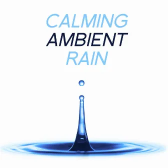 Calming Ambient Rain by Unknown Artist