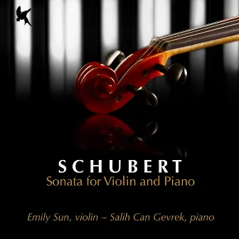 Schubert: Sonata for Violin and Piano in G Minor, D. 408 by Emily Sun