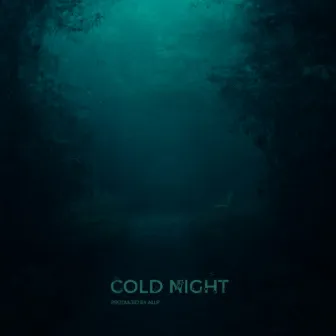 Cold Night by ALLP