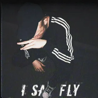 I Say Fly by Sokolfly