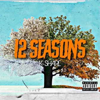 12 Seasons by K Sharl