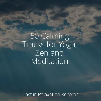 50 Calming Tracks for Yoga, Zen and Meditation by Study Hard