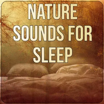 Nature Sounds for Sleep - Insomnia Therapy, Peaceful Music, Sleep Music to Help You Relax all Night, Instrumental Music for Massage Therapy, Yoga Music, Lullabies, New Age, Relaxing Nature Sounds by Restfull Sleep Music Collection