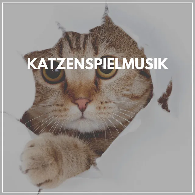 Katzenspielmusik