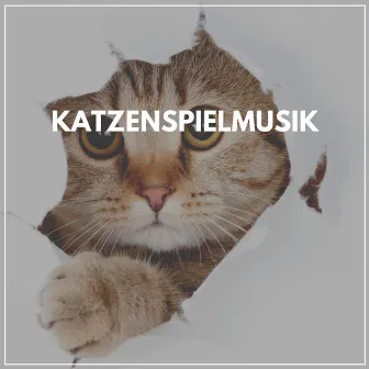 Katzenspielmusik by Katzenmusik