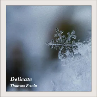 Delicate by Thomas Erwin